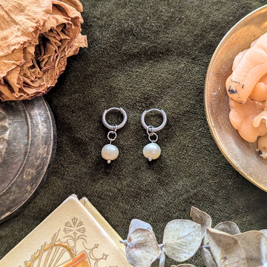 Boucles d'oreilles Ara
